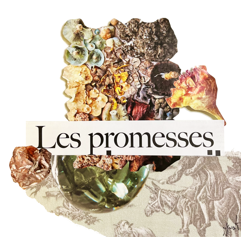 Les Promesses