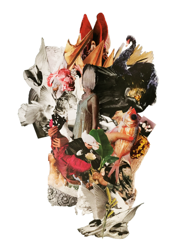 Les 3F: Féminité, Fragilité, Fierté