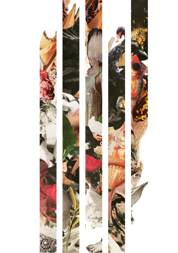 Les 3F: Féminité, Fragilité, Fierté