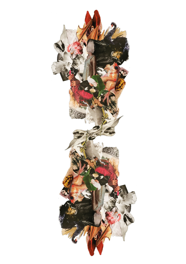 Les 3F: Féminité, Fragilité, Fierté